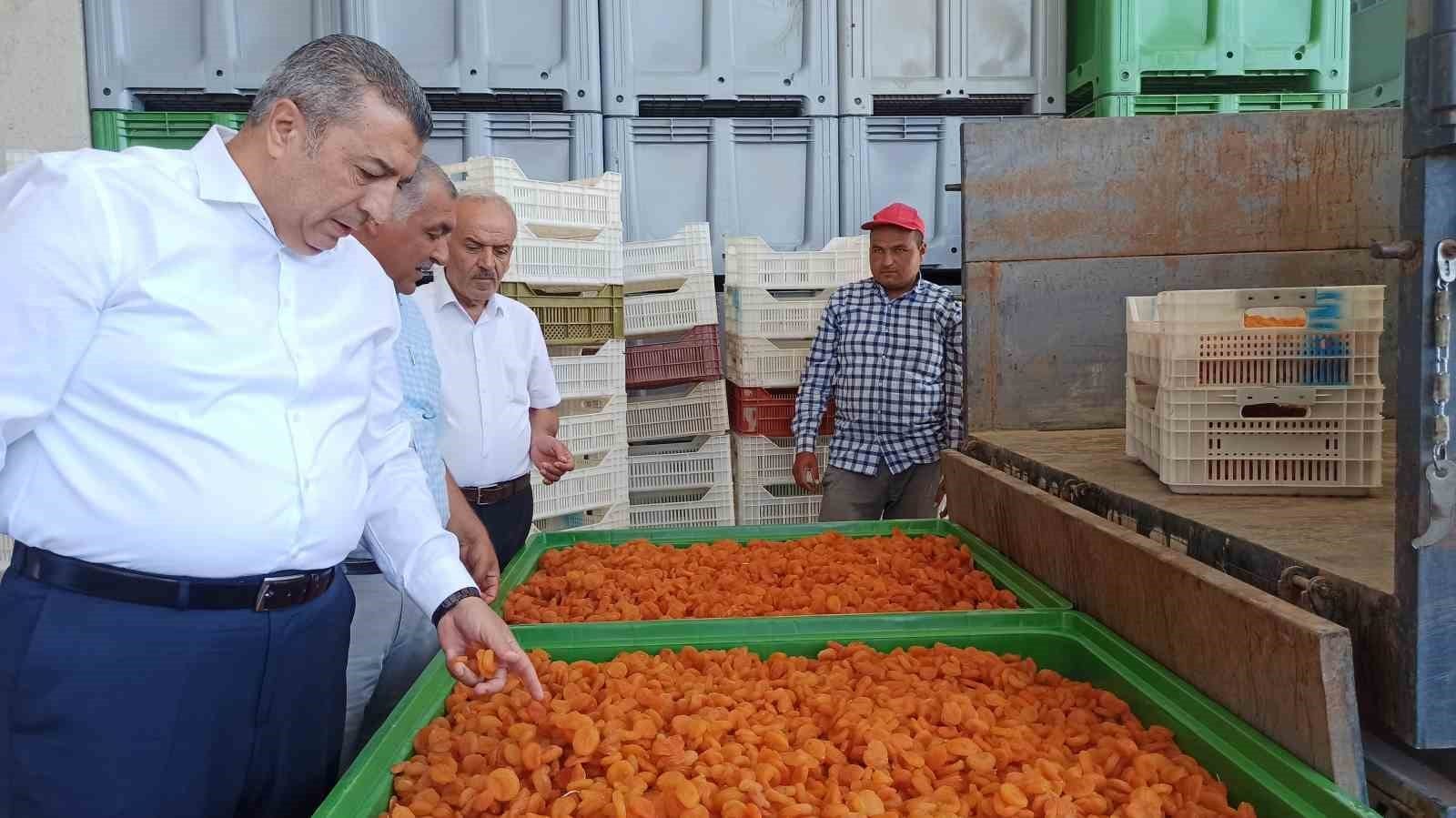 MALATYA'DA LİSANSLI DEPOLAR 2 HAFTADA YAKLAŞIK BİN 500 TON ÜRÜN ALIMI YAPTI