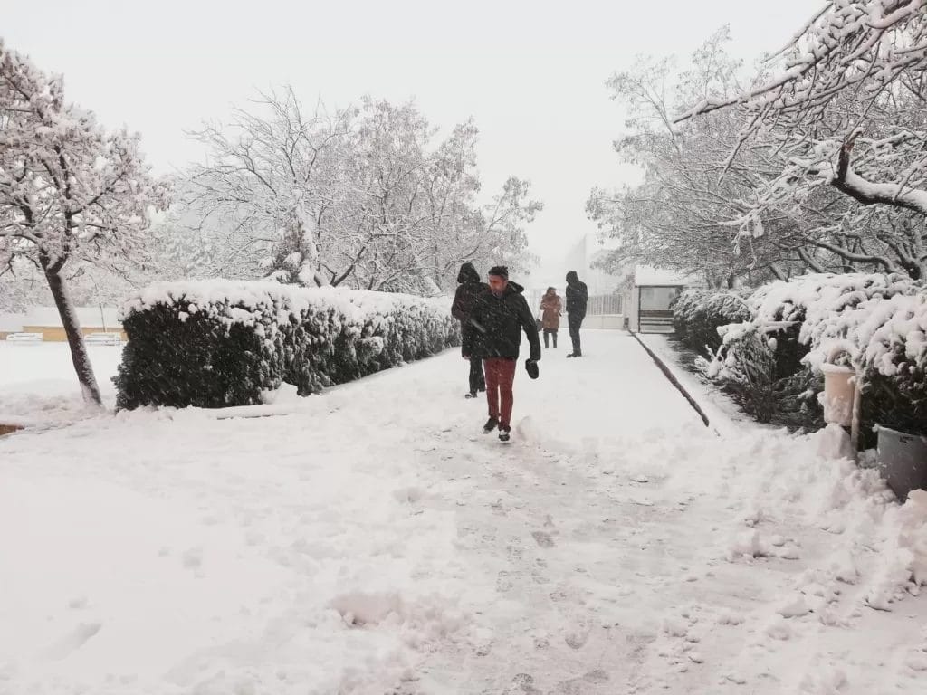 AW386756_01-1024x768