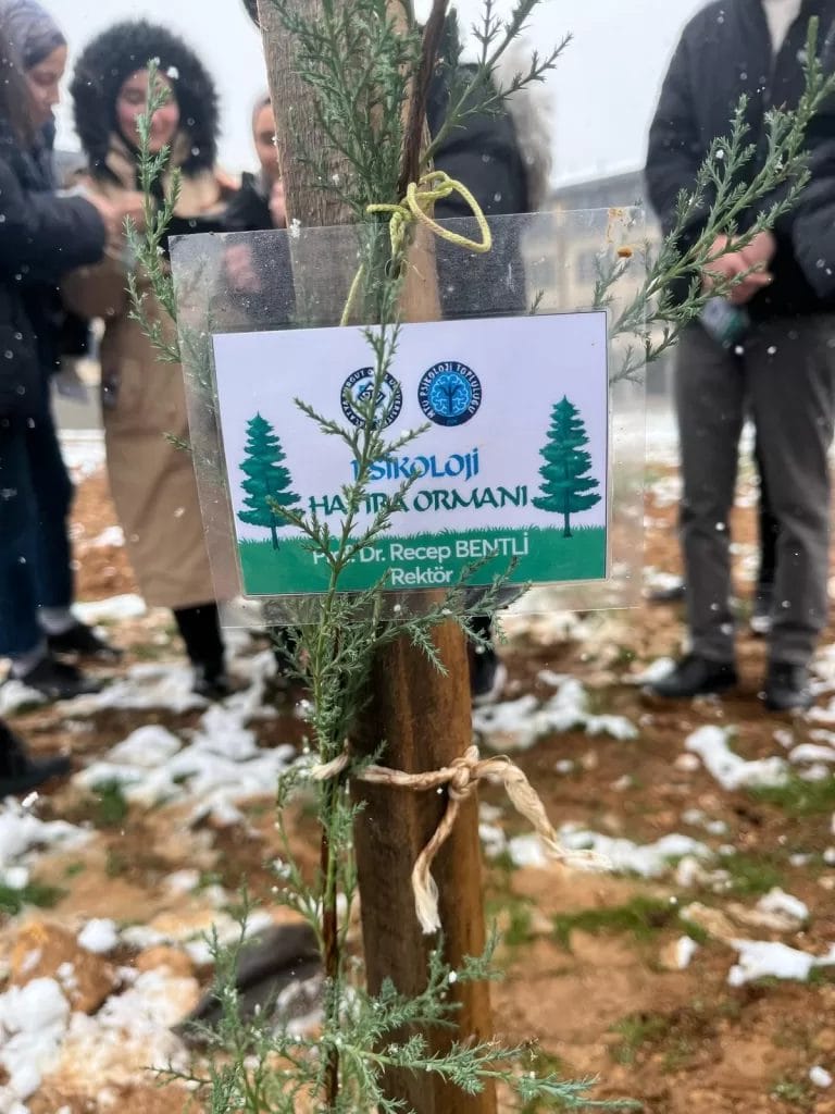 AW416778_02-768x1024