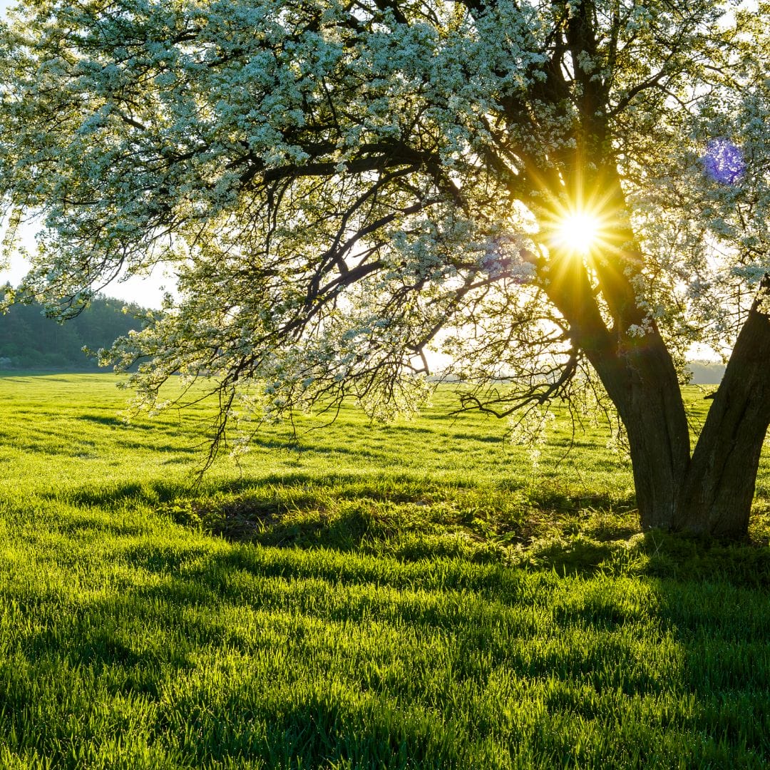 Bir başlık ekleyin