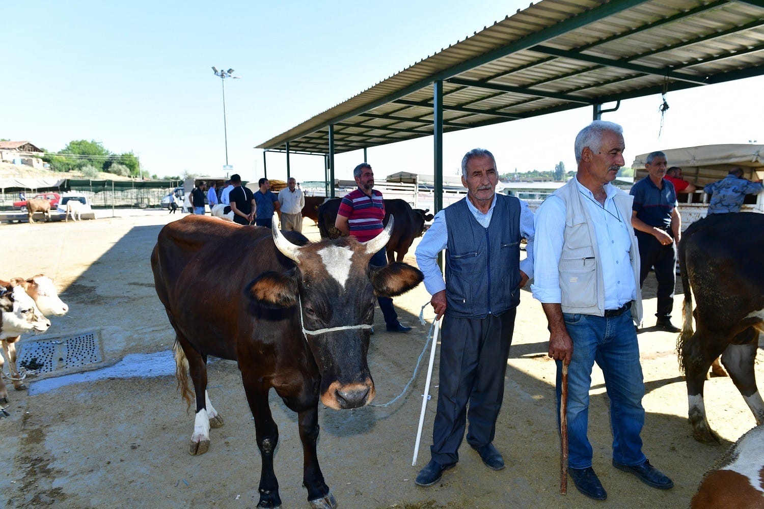 KURBAN SATIŞ VE KESİM YERİ BELİRLEDİ