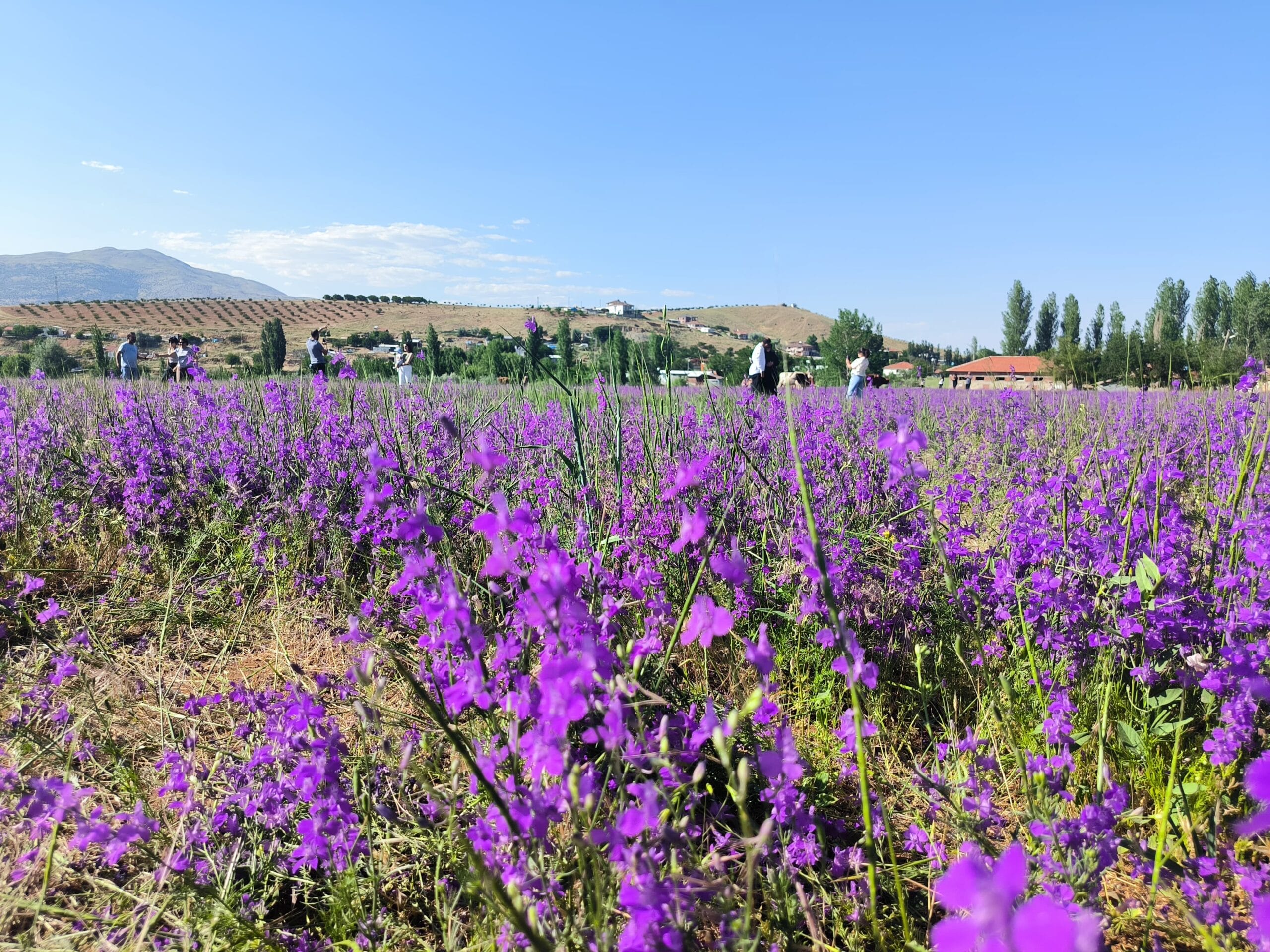 Görsel açıklaması bulunamadı
